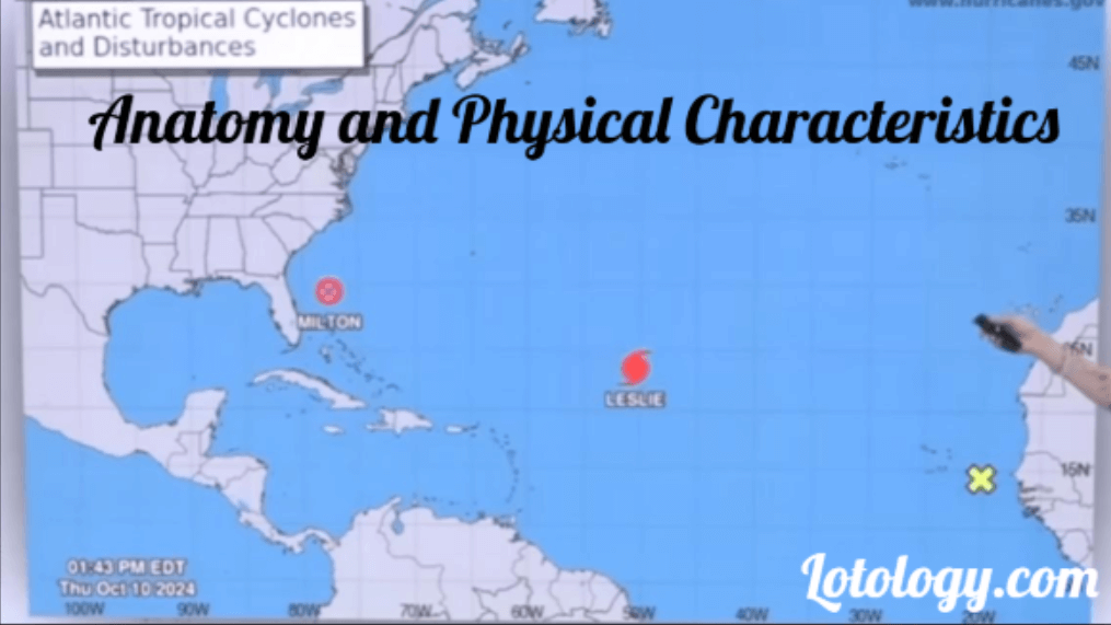 Fluctuations in Intensity and Path