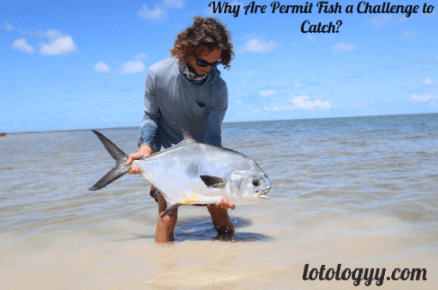 Why Are Permit Fish a Challenge to Catch?