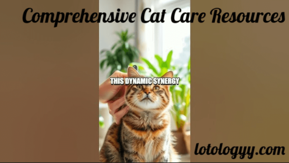 Comprehensive Cat Care Resources