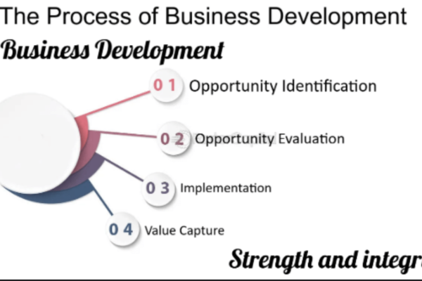 Business Development: A Comprehensive Guide