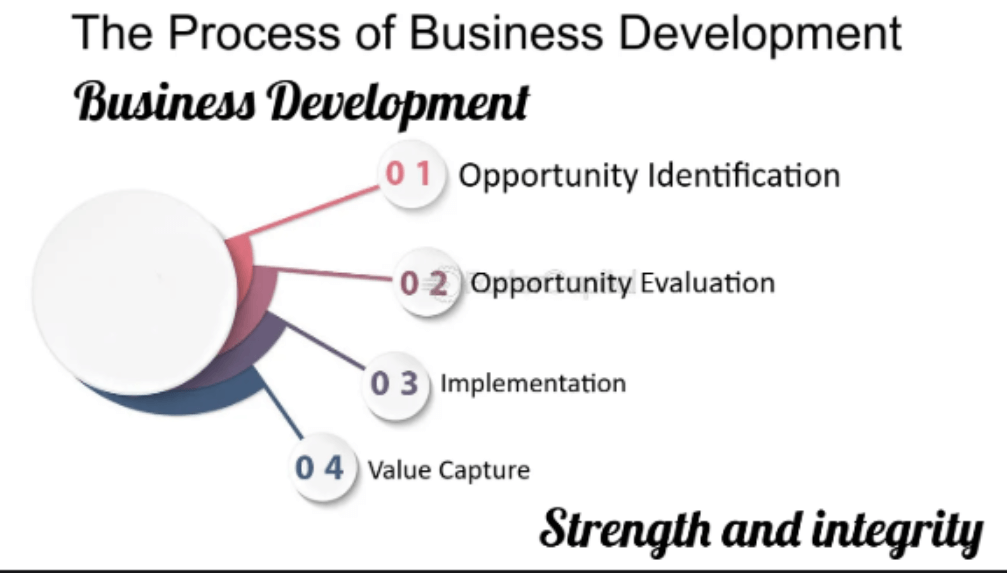 Business Development: A Comprehensive Guide