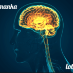 Dr. Basil Fomanka: A Visionary Leader in Mental Health Care and Community Development